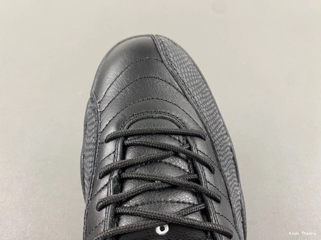 Kick Theory Jordan Air Master The 12 Retro 130690-013 0723
